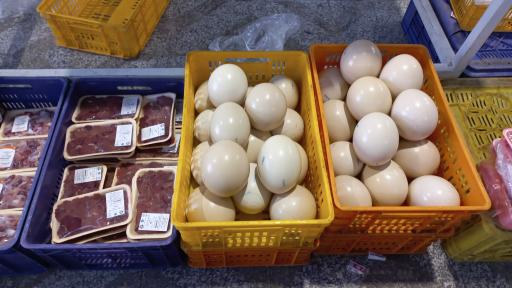 سالن مرغ و طیور و ماکیان