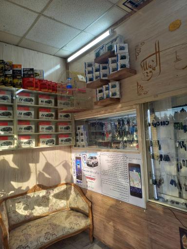 عکس دزدگیر شاهد