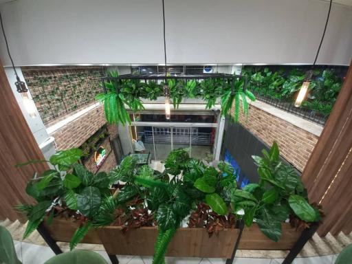 عکس فست فود سورین