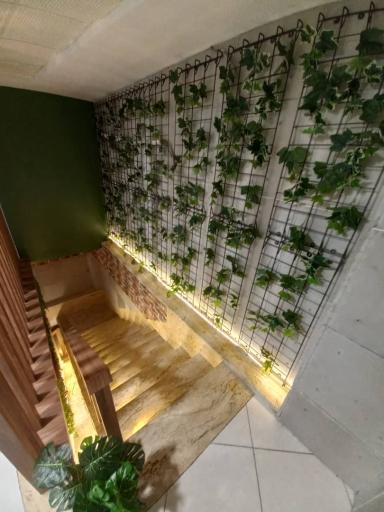 عکس فست فود سورین