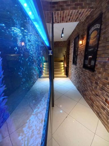 عکس فست فود سورین