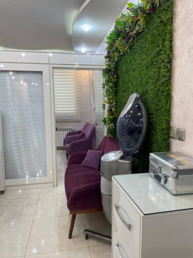 عکس هنر آذین