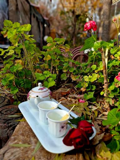 عکس کافه رستوران یسنا