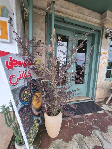 عکس کافه آیلی (صبحانه تا شام)