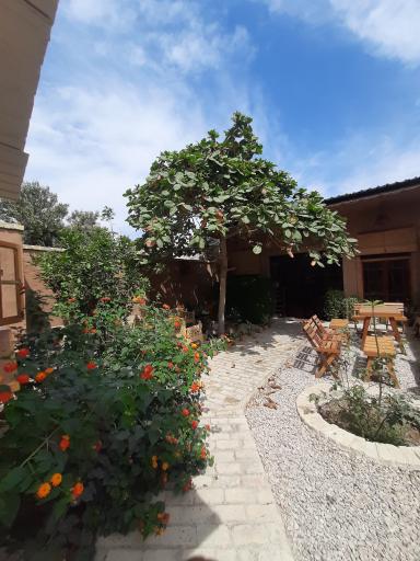 عکس یوگا پرانا