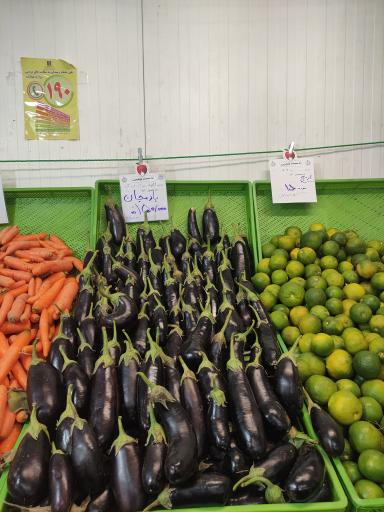 عکس میوه و تره بار ارکیده