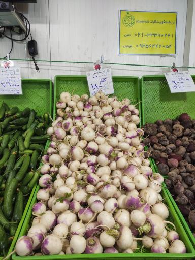 عکس میوه و تره بار ارکیده