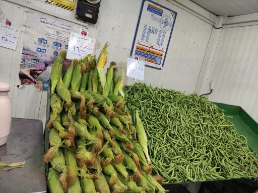 عکس میوه و تره بار ارکیده