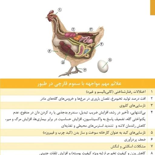 عکس شرکت دردانه