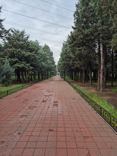 عکس بوستان سمن ها 