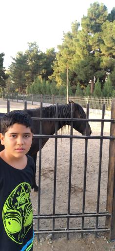 عکس بوستان سمن ها 