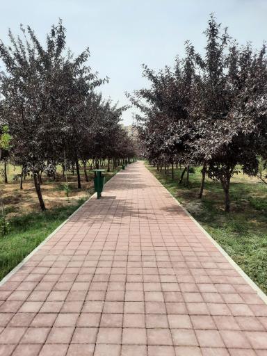 بوستان سمن ها 