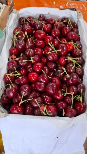 ارزانکده میوه و تره بار نوبرانه