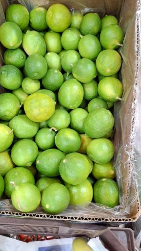 عکس ارزانکده میوه و تره بار نوبرانه