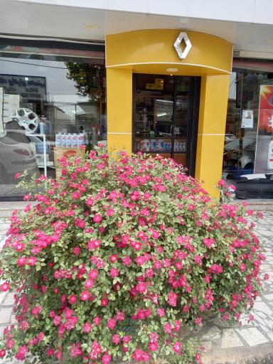 عکس فروشگاه رنوپخش حصاری