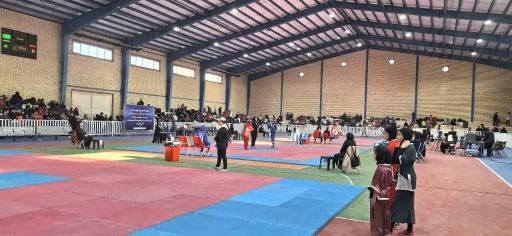 عکس سالن ورزشی شهدای خدمت صباشهر