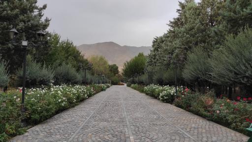 عکس بوستان سمن ها 