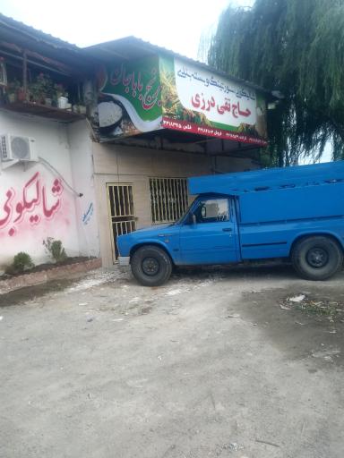 عکس شالیکوبی حاج تقی درزی (بازرگانی برنج باباجان)