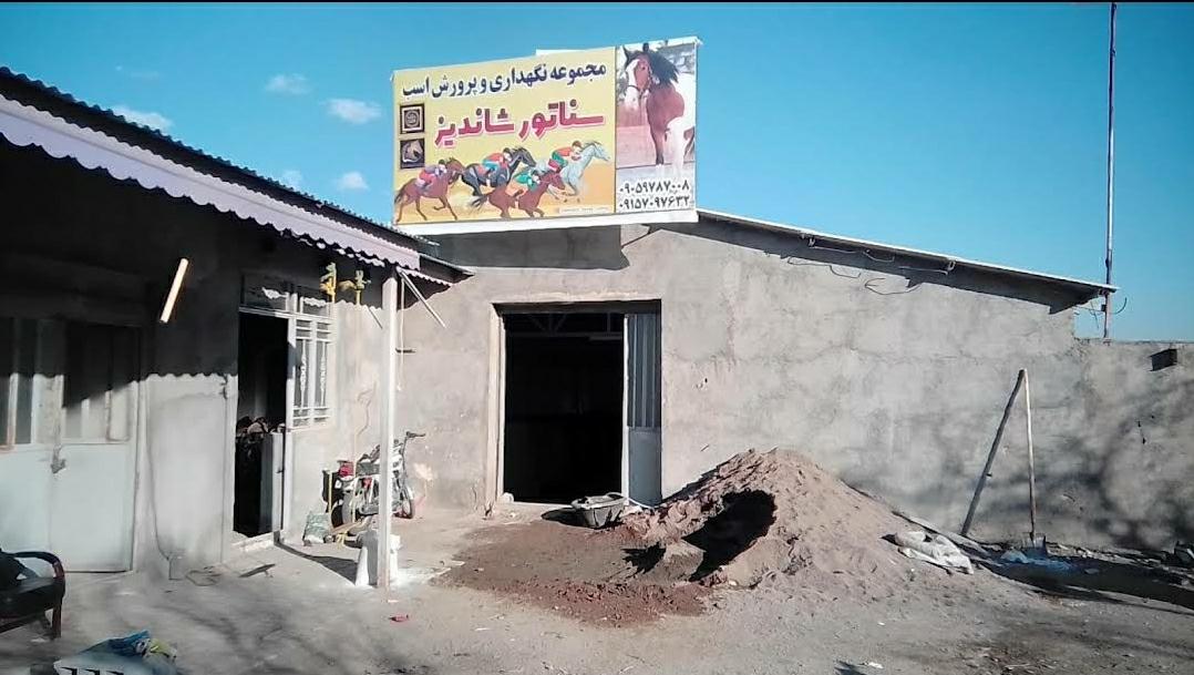 عکس مجموعه پرورش اسب سناتور 