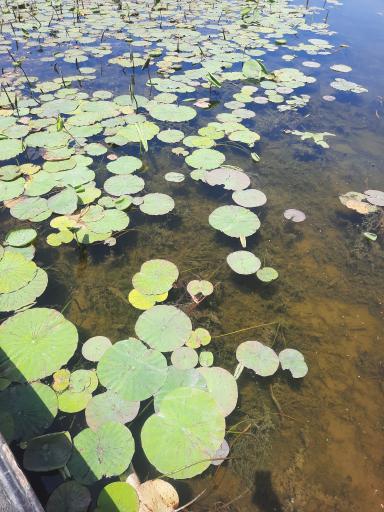 عکس قایق سواری میثم