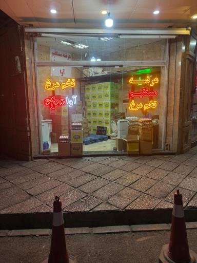 عکس تخم مرغ آوا