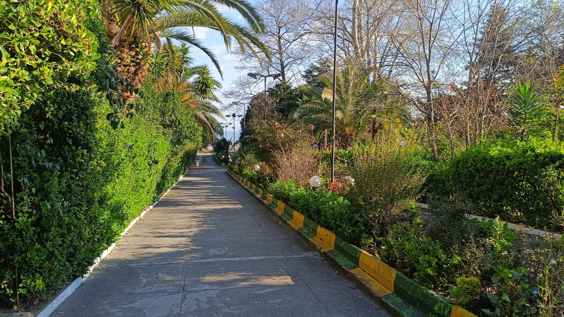 عکس متل گل سرخ