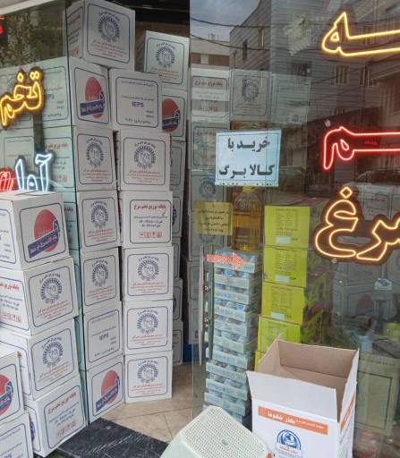 عکس تخم مرغ آوا