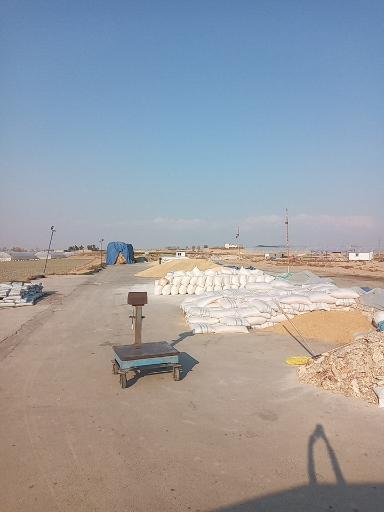 عکس خوراک دام و طیور سید مصطفی طباطبایی