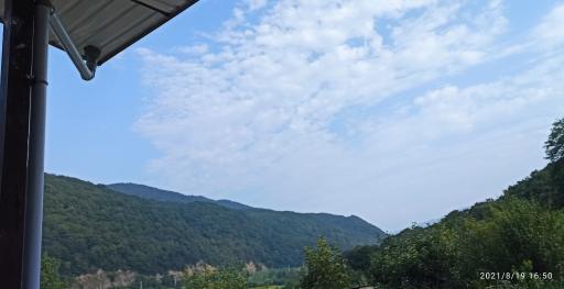 عکس ویلا جنگلی پرهام