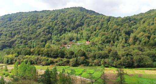 عکس ویلا جنگلی پرهام