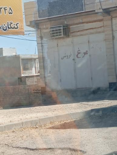 عکس مرغ فروشی