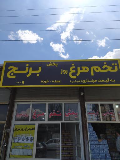 عکس پخش تخم مرغ تبریز