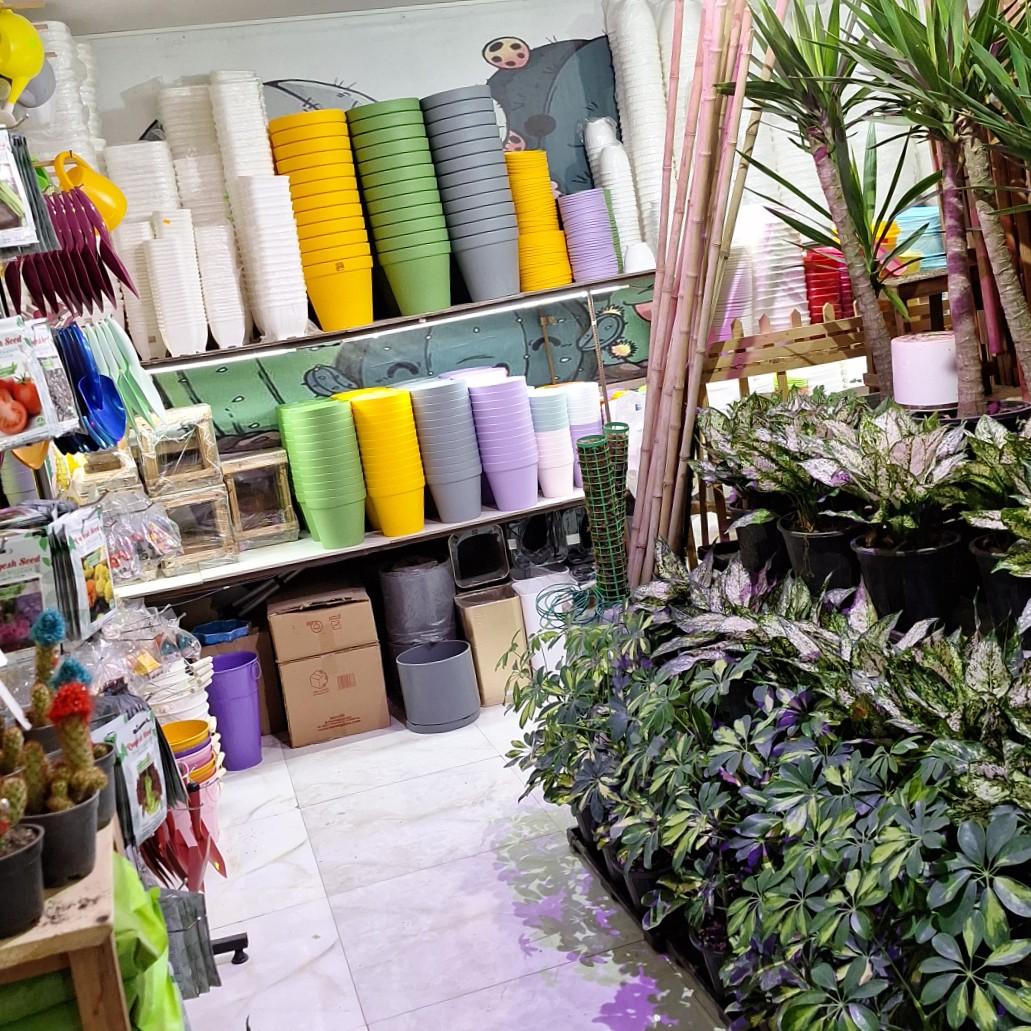 عکس گلخانه مهدی