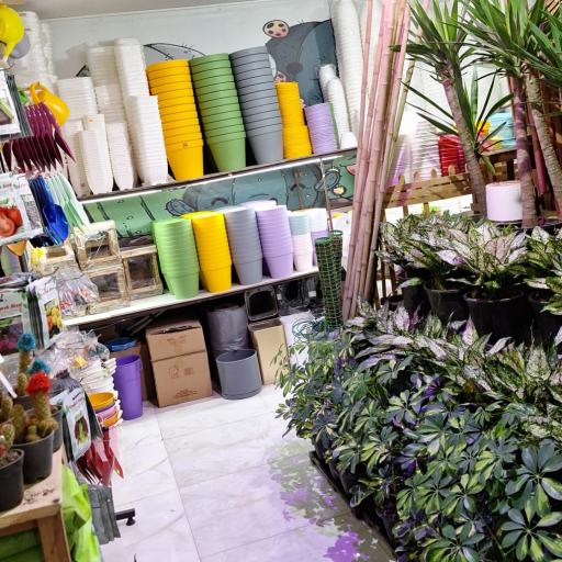 عکس گلخانه مهدی