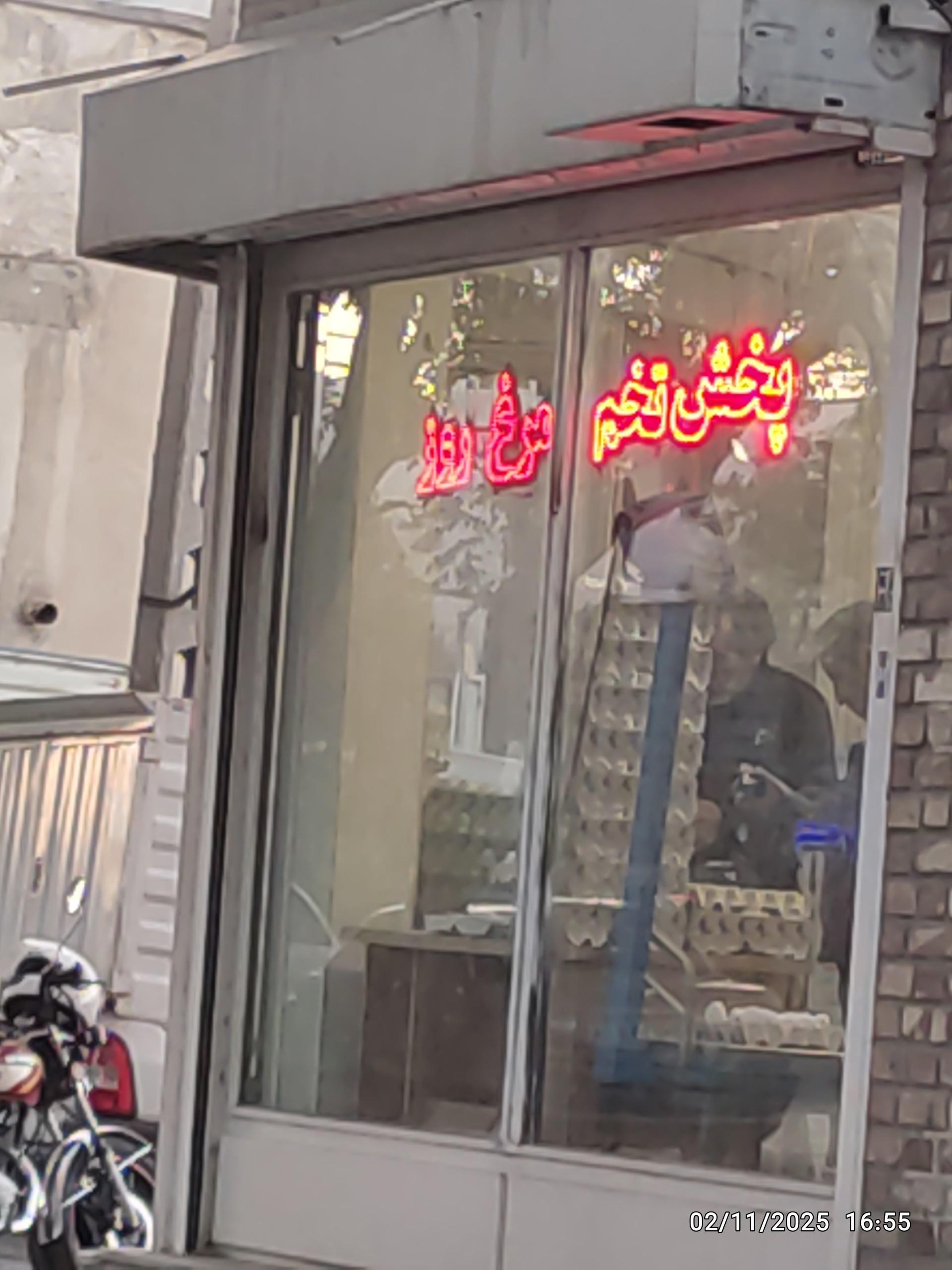عکس پخش تخم مرغ روز