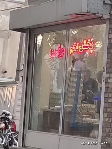 عکس پخش تخم مرغ روز