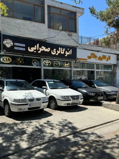 عکس اتوگالری صحرایی