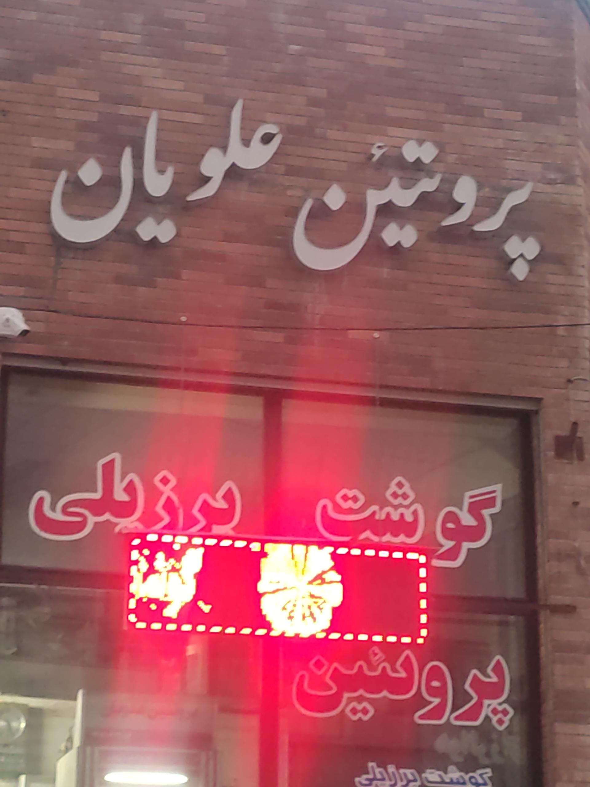 عکس پروتیین علویان 