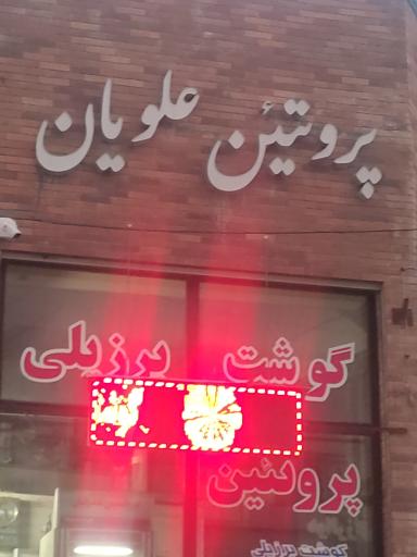 عکس پروتیین علویان 