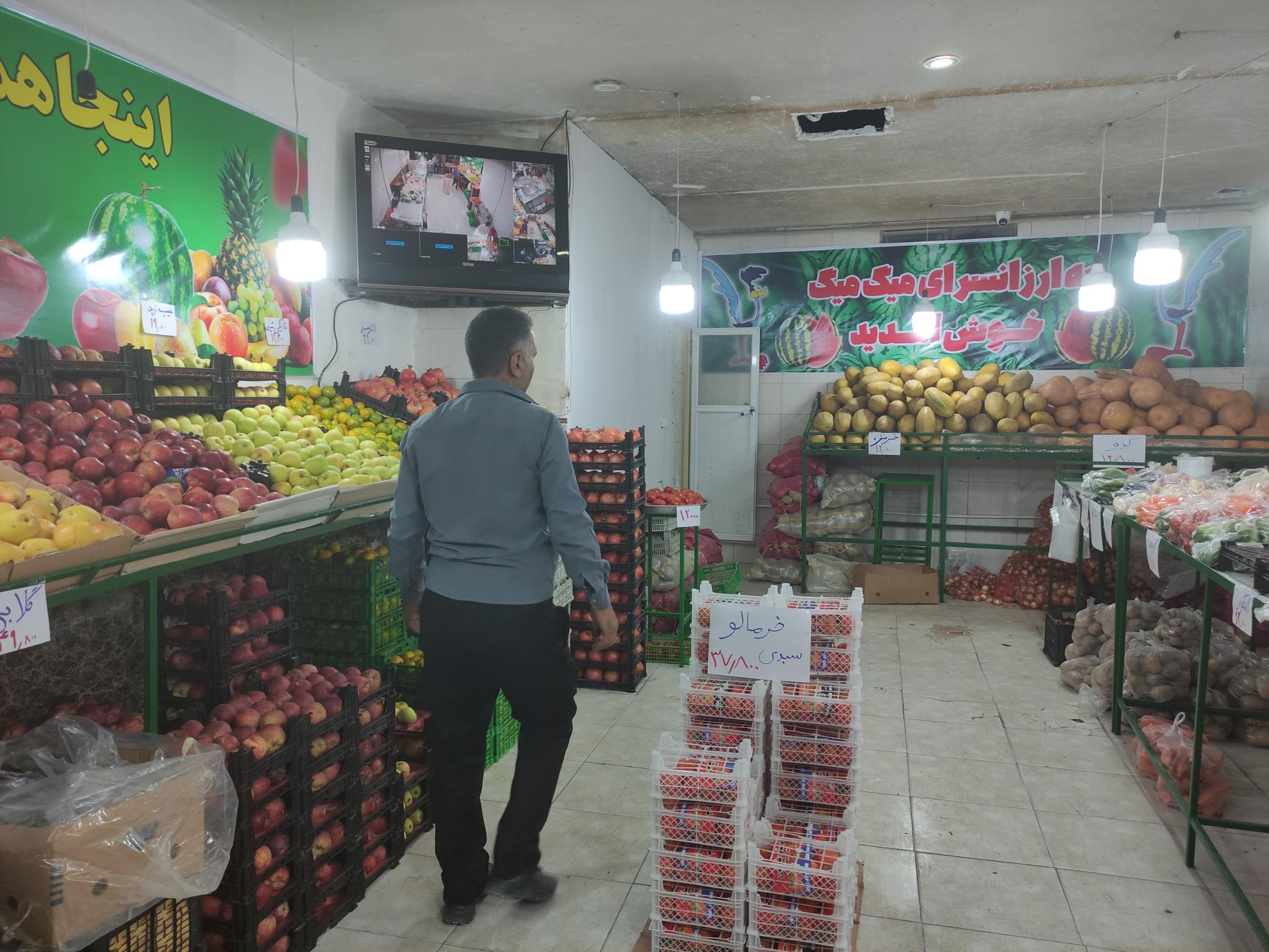 عکس میوه سرای میگ میگ