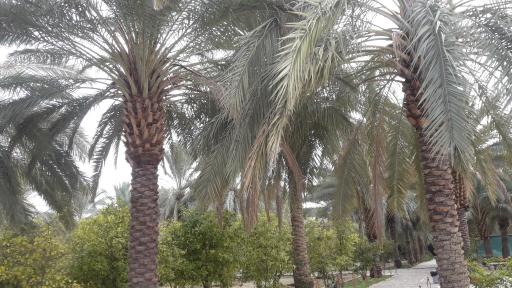 عکس امامزاده حسین ابن موسی الکاظم