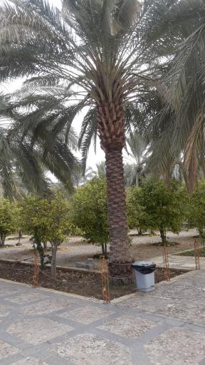 عکس امامزاده حسین ابن موسی الکاظم