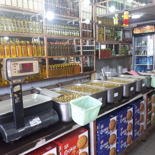 عکس زیتون کوروش جباری 2