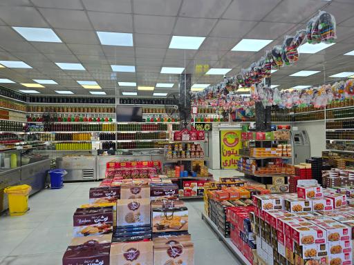 عکس زیتون کوروش جباری 2