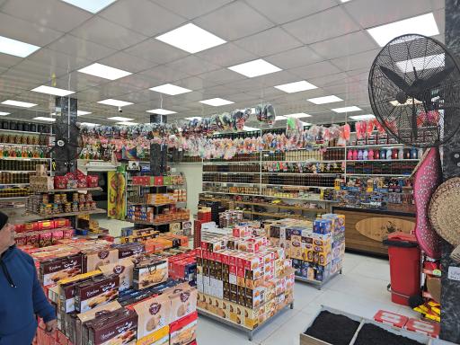 عکس زیتون کوروش جباری 2