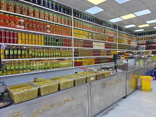 عکس زیتون کوروش جباری 2