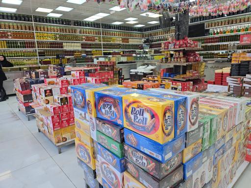 عکس زیتون کوروش جباری 2