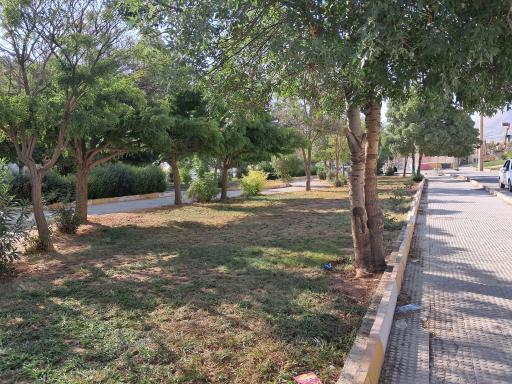 عکس پارک چغاسبز