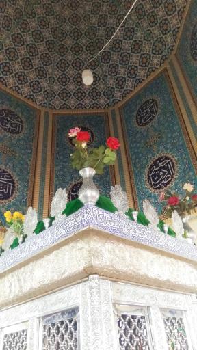 عکس امامزاده شاهرضا لایی