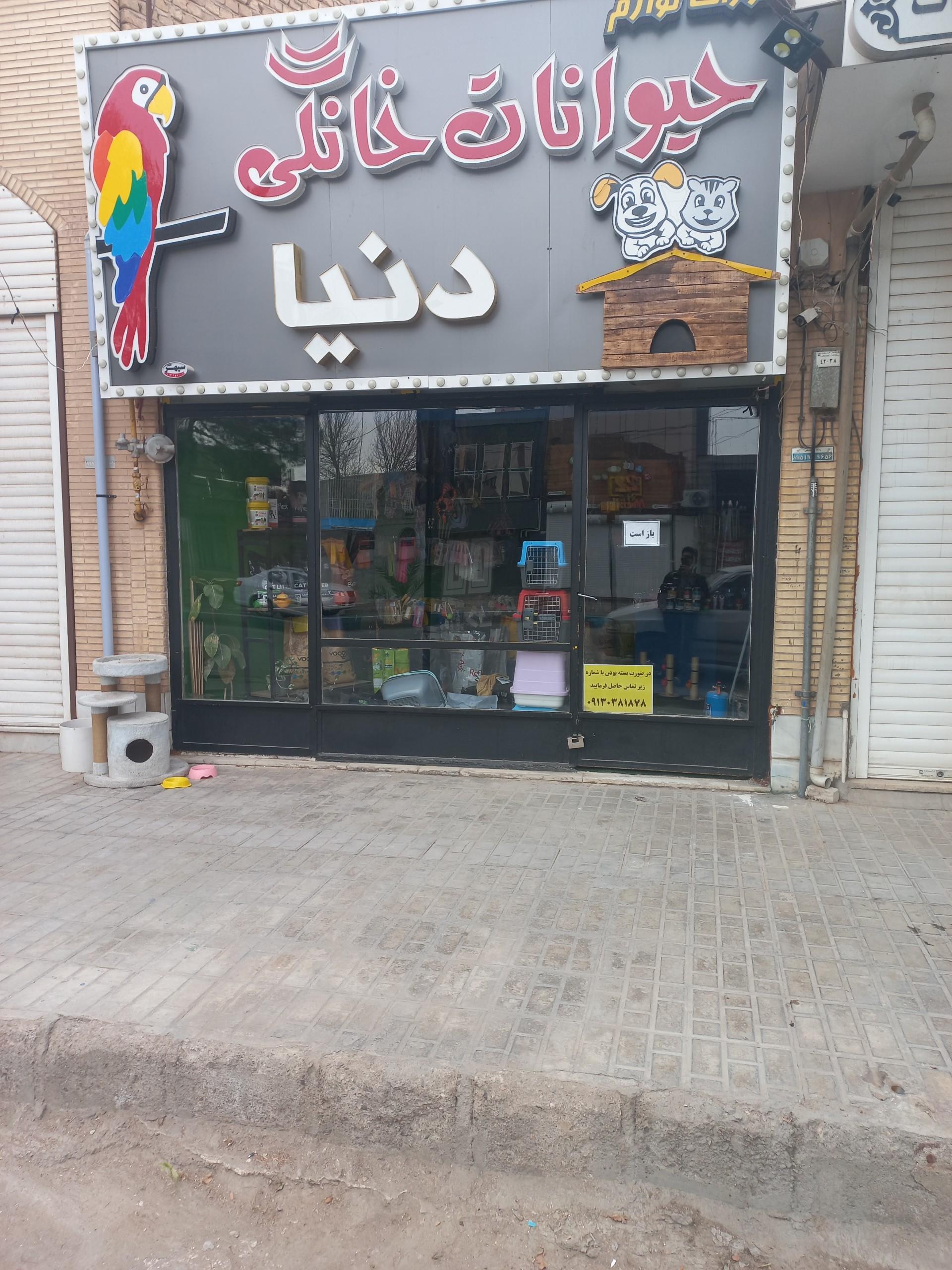 عکس پت شاپ دنیا 